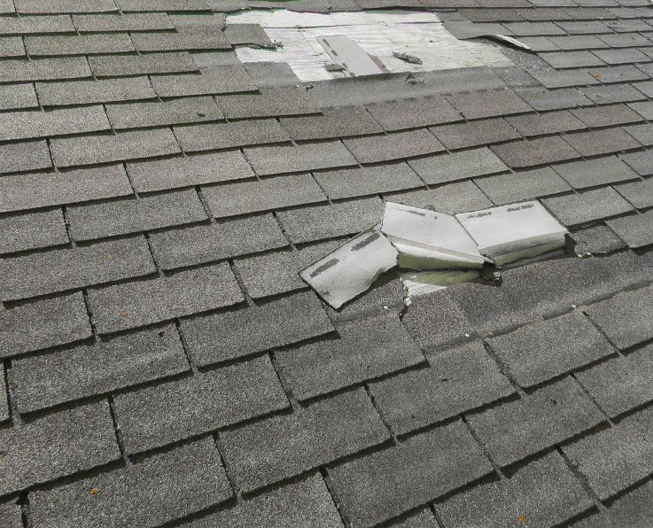 windblown shingles need roof replacement in Albany NY by Northland Roofing